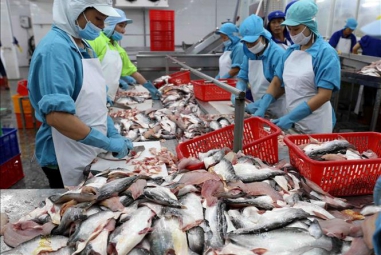 Xuất khẩu cá tra năm 2022: Thị trường nhỏ đóng góp tăng trưởng lớn
