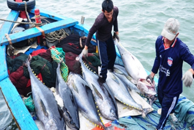 Năm 2022, xuất khẩu thuỷ sản mục tiêu 9,2 tỷ USD, bất ngờ cá ngừ, nghêu ốc tăng mạnh nhất