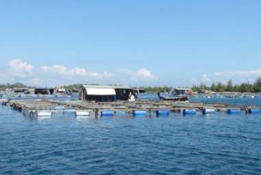 Khánh Hòa ứng dụng khoa học công nghệ vào nuôi trồng và chế biến thủy sản