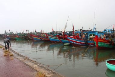 Xuất khẩu tôm mở ra nhiều cơ hội cho ngư dân Hà Tĩnh