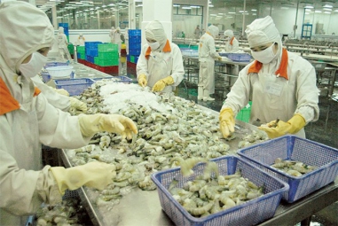 Kim ngạch xuất khẩu thủy sản Việt Nam và giấc mộng lớn 9 tỉ USD