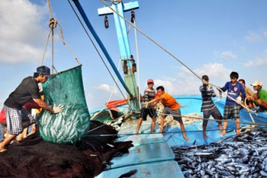Nâng cao năng lực cho lao động di cư ngành đánh bắt và chế biến thủy sản ở Đông Nam Á