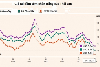 Thái Lan: Giá tôm vẫn ở mức thấp kể từ năm 2018